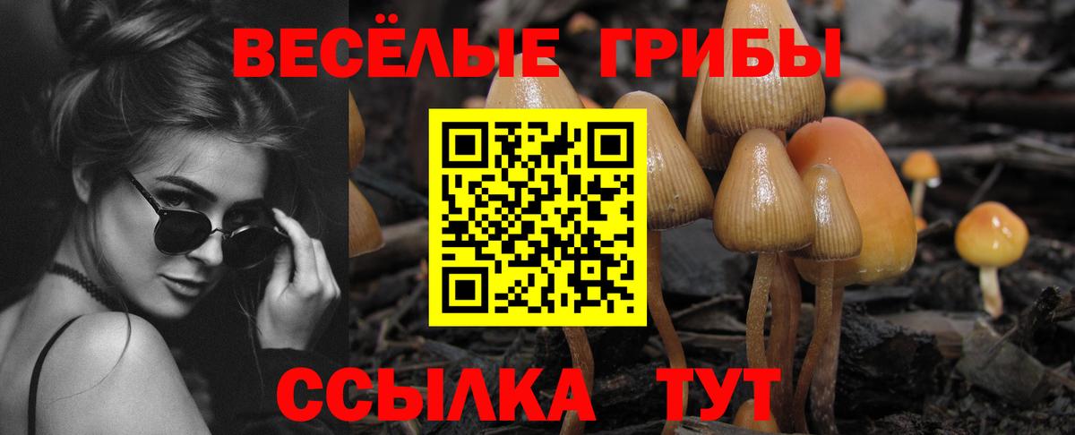 купить наркоту  Вход с VPN  Скопин  Галлюциногенные грибы Psilocybine cubensis 